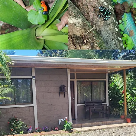 The Bees House Apartment La Fortuna Exterior photo
